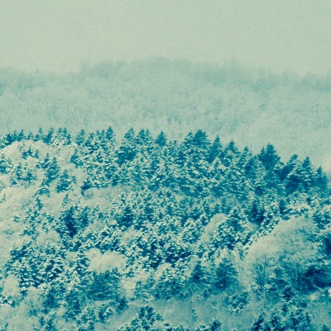 a0329935_06204573.jpeg