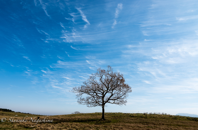 秋の空_b0173137_21005769.jpg