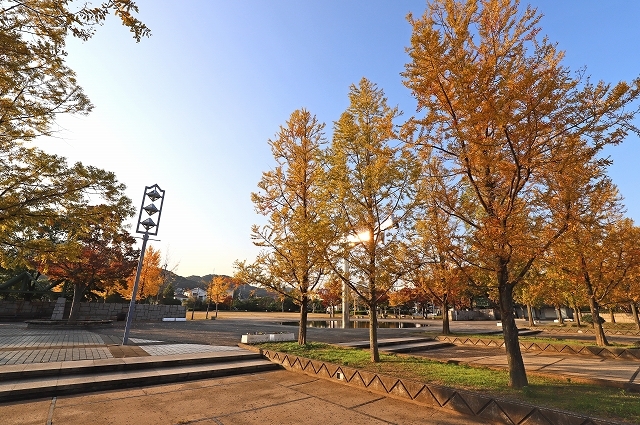 a0242438_21445928.jpg