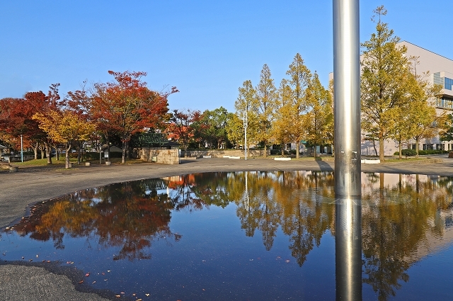 a0242438_21445982.jpg