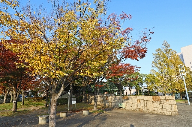 a0242438_21451128.jpg