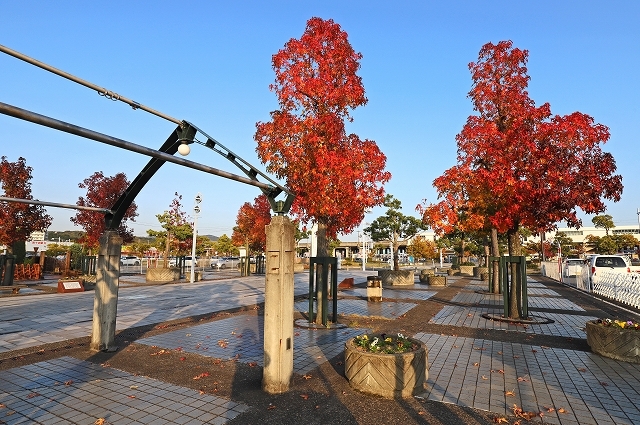 a0242438_21451244.jpg
