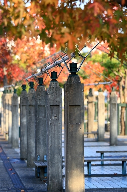 a0242438_21462123.jpg