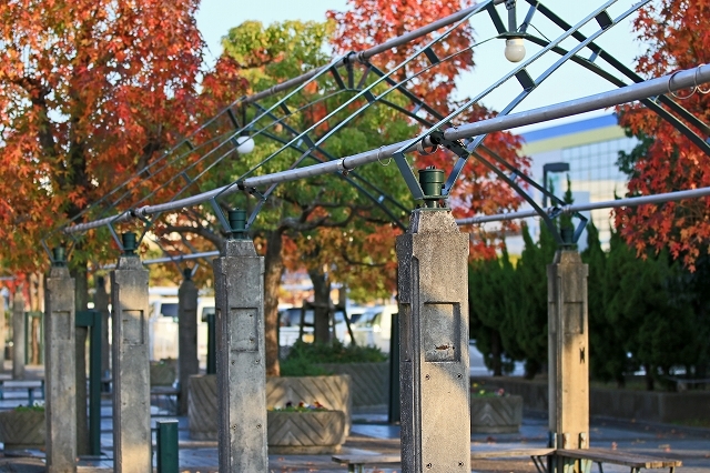 a0242438_21462157.jpg