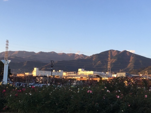 b0330040_21052485.jpeg
