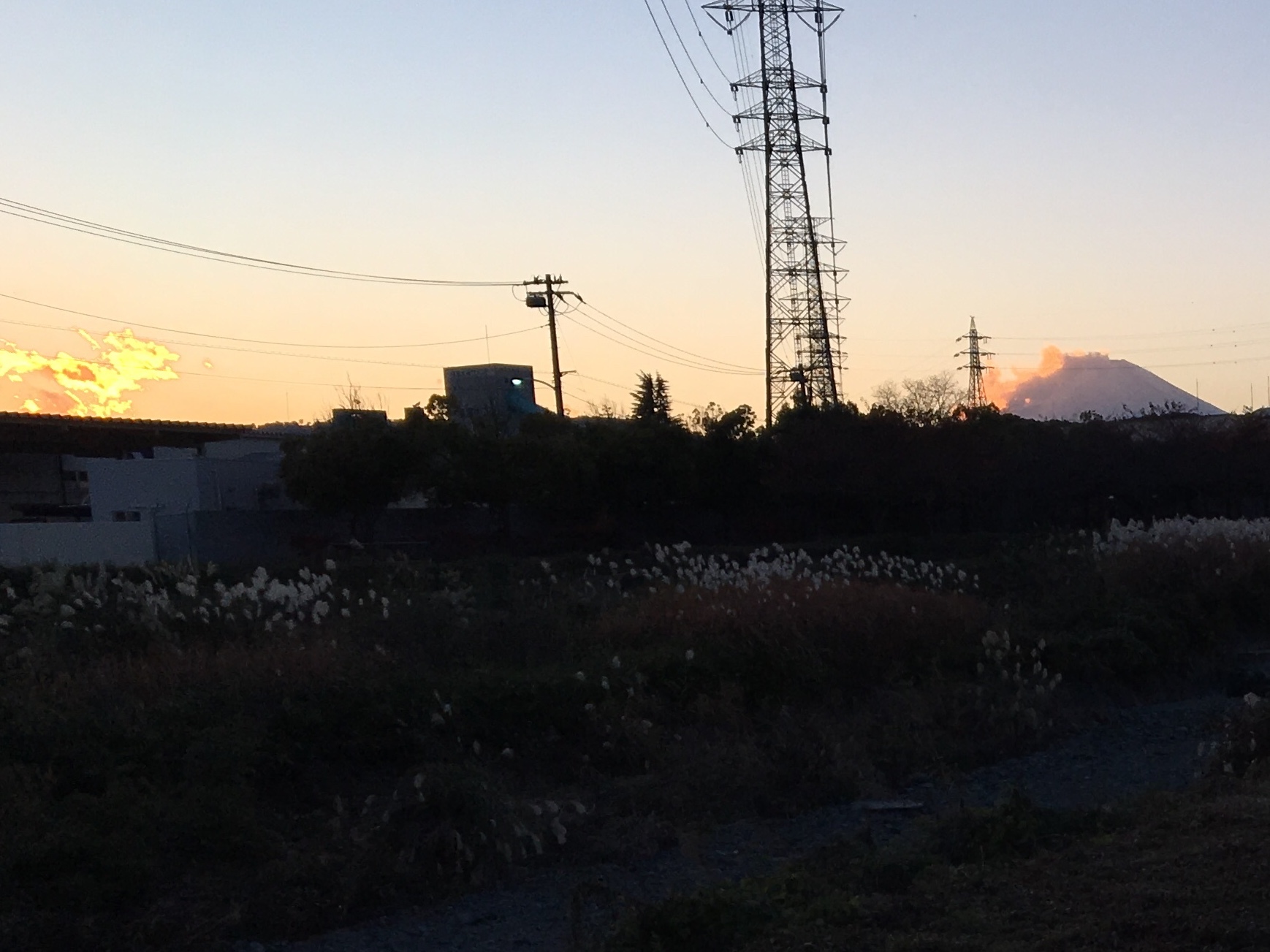 b0330040_21210837.jpeg