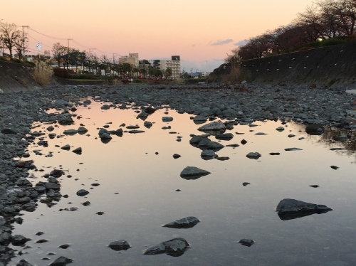 b0330040_21220960.jpeg