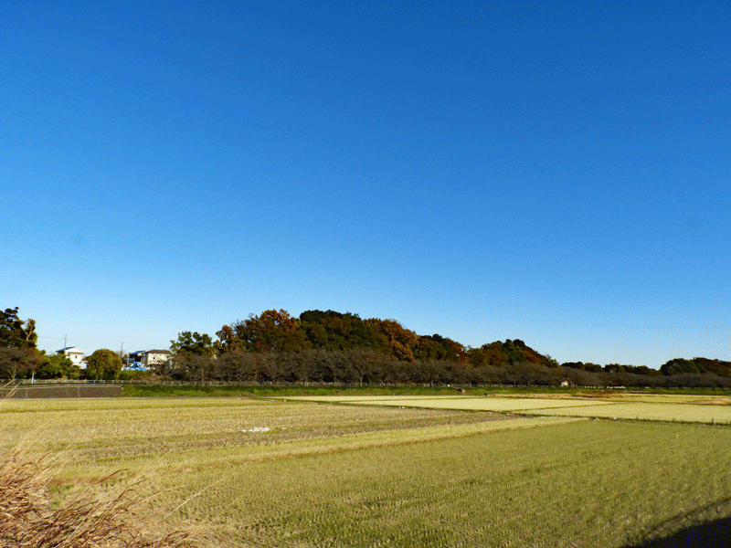 d0290240_16580280.gif