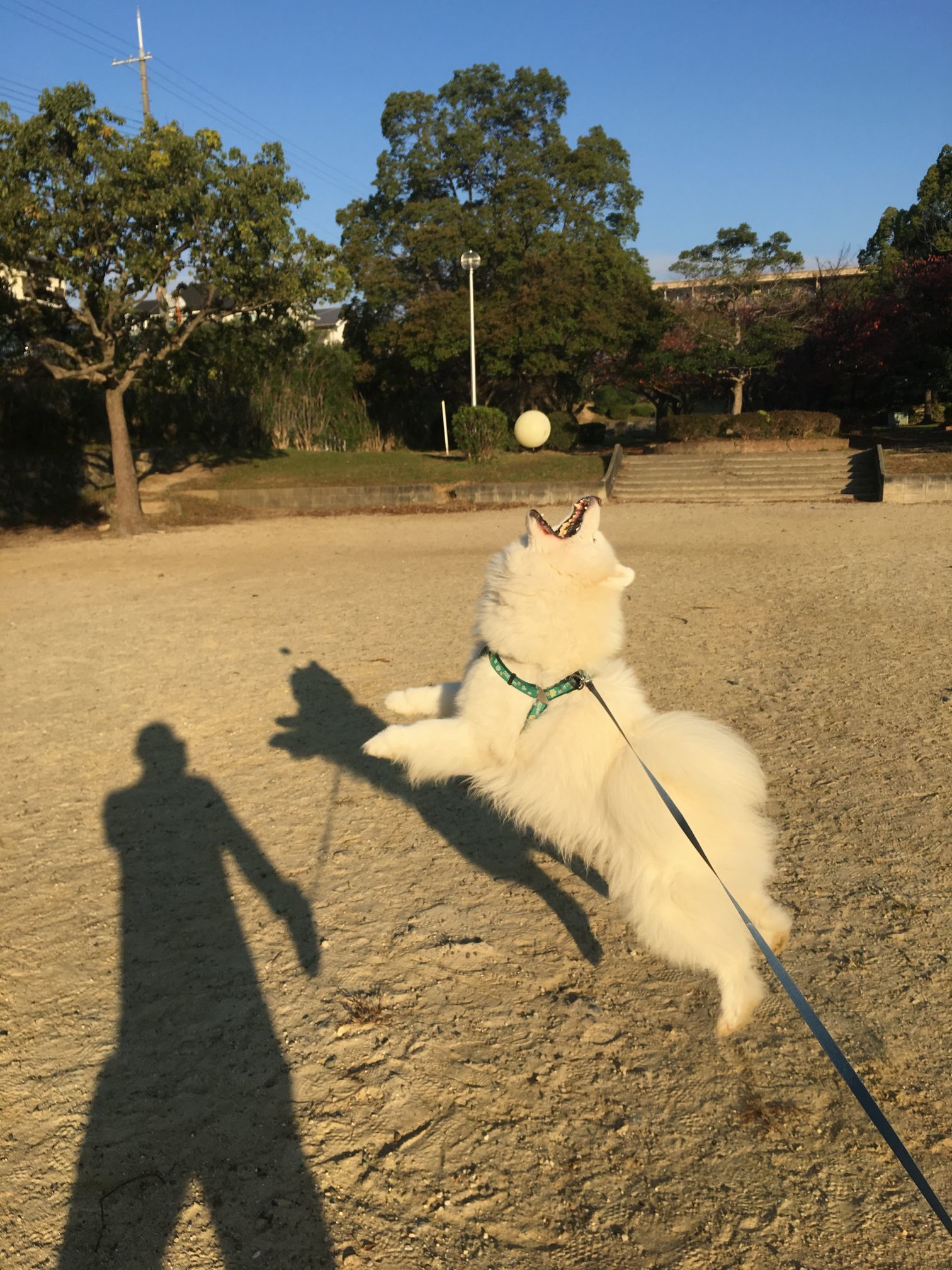 いい季節になってきました_f0128542_01212158.jpg