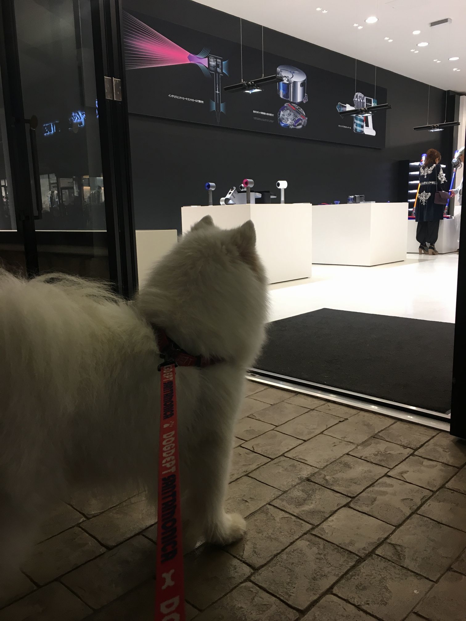 いい季節になってきました_f0128542_01355384.jpg