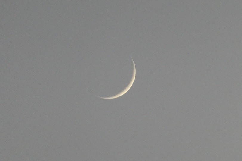 d0288144_19554459.jpg