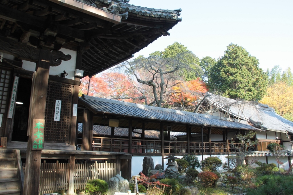 京都の紅葉は十輪寺から_a0355356_08572754.jpg