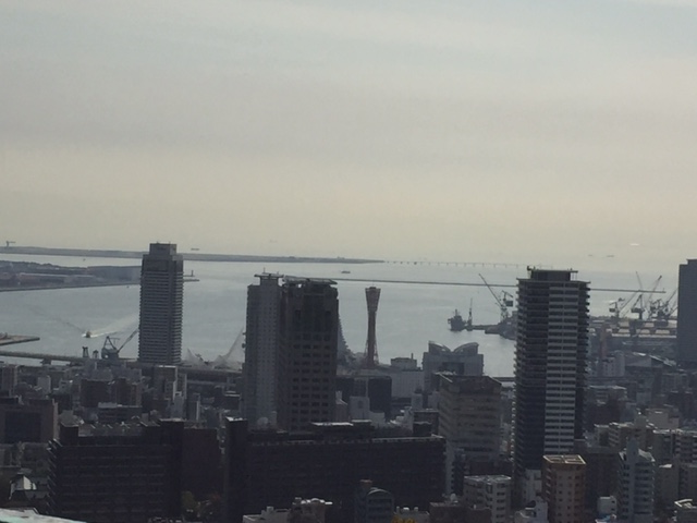 b0114367_23405707.png