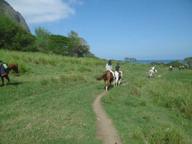 ハワイ家族旅行 5_f0205367_18520664.jpg