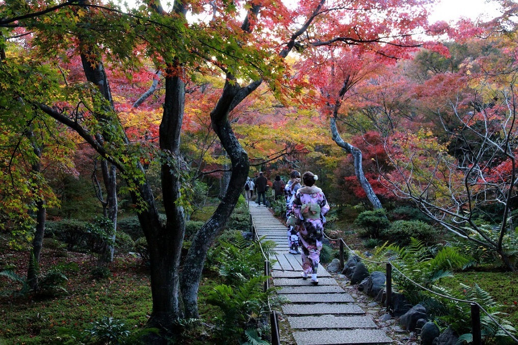 嵯峨野散策　～清凉寺、宝筐院～_a0107574_18382016.jpg