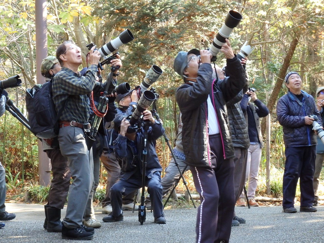 『木曽川水園の鴨達～』_d0054276_2022282.jpg