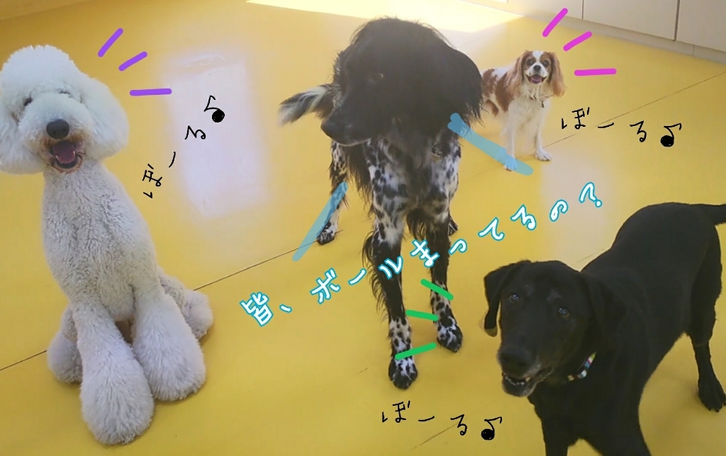 ボールあそび🎶_f0357682_19372487.jpg