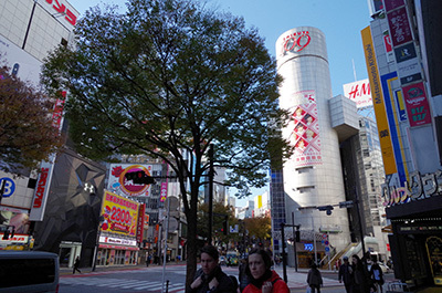 b0056983_17414330.jpg