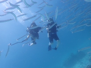 最後まで元気はつらつ!!_f0144385_18373813.jpg