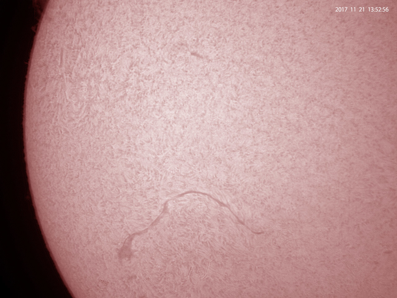 11月21日の太陽_e0174091_14411931.jpg