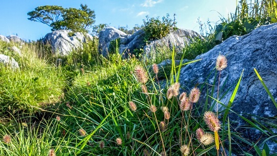 e0176993_07221728.jpg