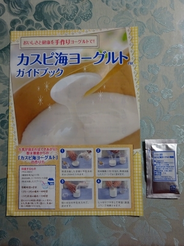 c0322794_00145785.jpg