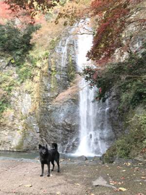 e0204795_1753742.jpg