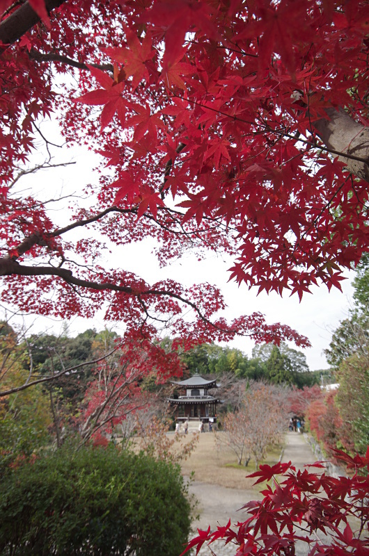 c0382798_08561260.jpg