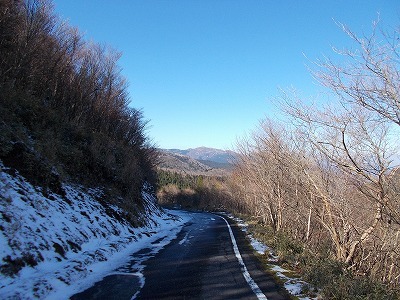 f0308898_19524903.jpg