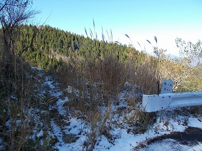 f0308898_19542605.jpg
