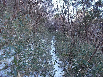f0308898_19545034.jpg