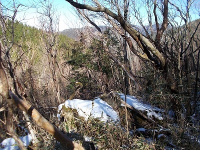 f0308898_19545751.jpg