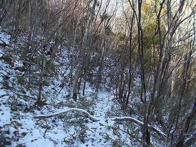 f0308898_19555957.jpg