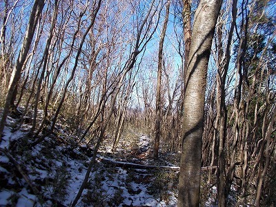 f0308898_19561471.jpg