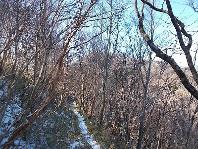 f0308898_19563976.jpg