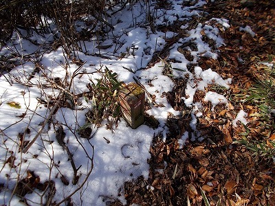 f0308898_19565300.jpg
