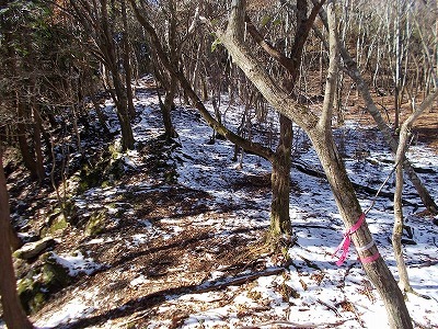 f0308898_19572351.jpg