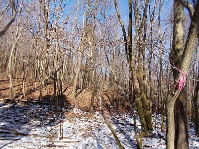 f0308898_19573156.jpg