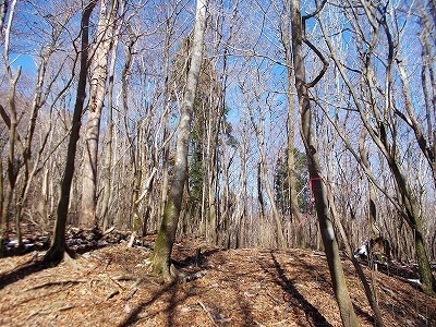 f0308898_19574334.jpg