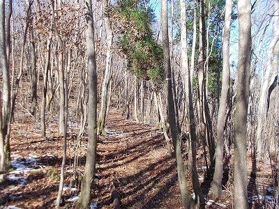 f0308898_19581409.jpg
