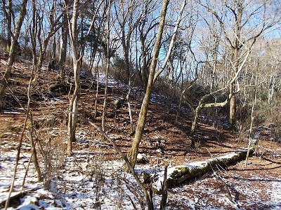 f0308898_19582604.jpg