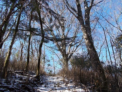 f0308898_19583846.jpg