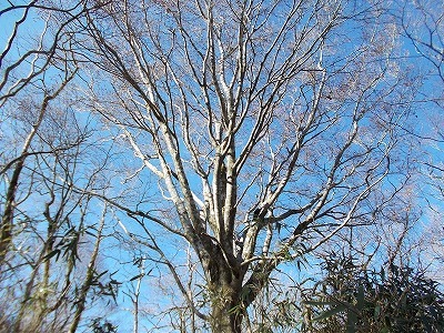 f0308898_20011292.jpg