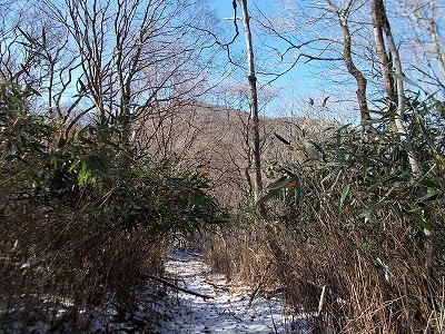 f0308898_20015181.jpg