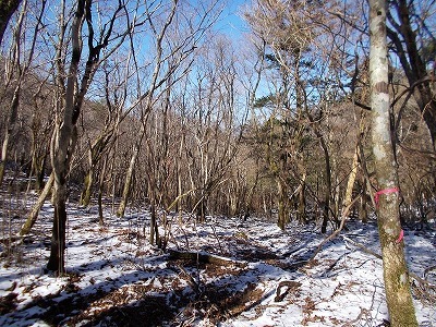 f0308898_20020029.jpg