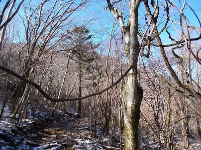 f0308898_20022298.jpg