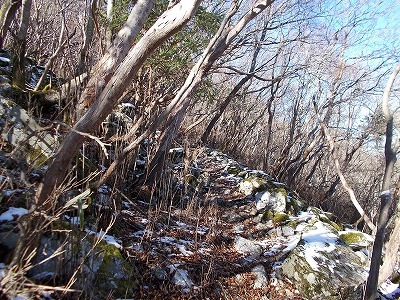 f0308898_20043808.jpg