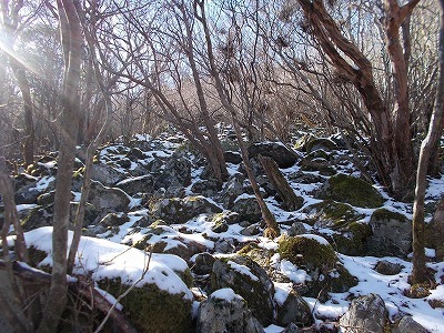 f0308898_20045852.jpg