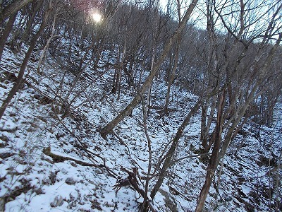 f0308898_20063689.jpg
