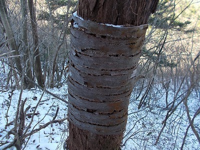 f0308898_20070854.jpg